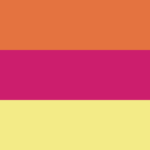 Pink Gumamela